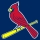 St. Louis Cardinals Organization: Payroll Contracts, Depth Charts + Rosters, (Majors + Minors)